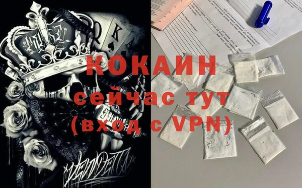 дживик Липки
