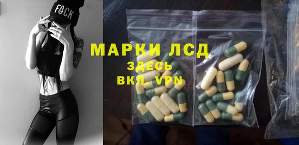 дживик Липки