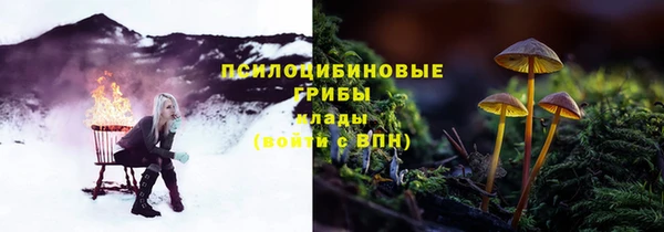 гидра Лиски
