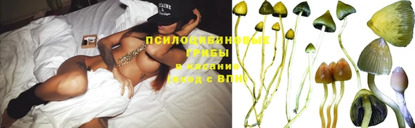 гидра Лиски
