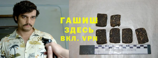 прущие грибы Горняк
