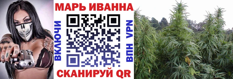 как найти наркотики  Жирновск  Канабис план 